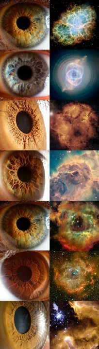 4a3f620eaf0edd20138584117f12f1ed-01-01[1]