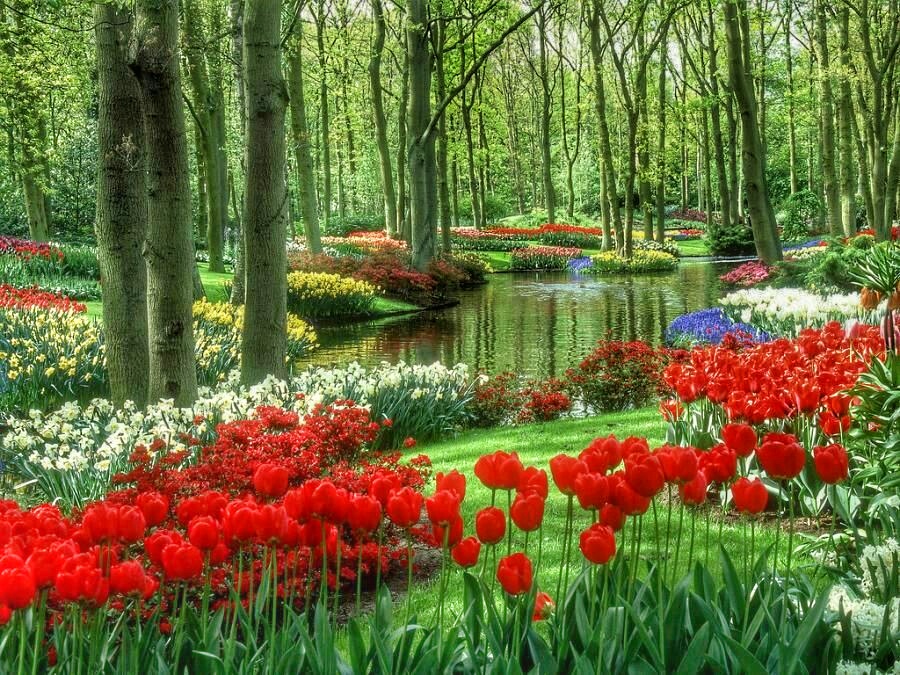 Netherlands-Giethorn