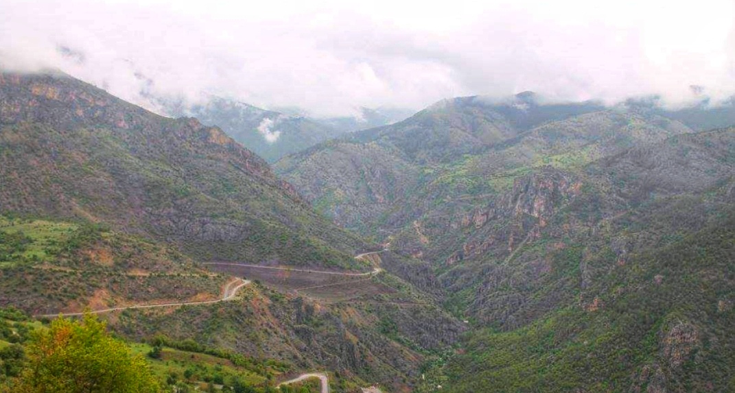 IMG_20200803_124937-01